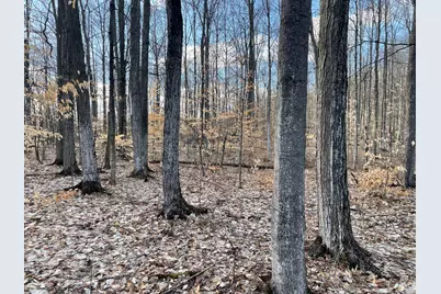 000 Vl N Cottonwood Avenue, Big Rapids, MI 49307 - Photo 23