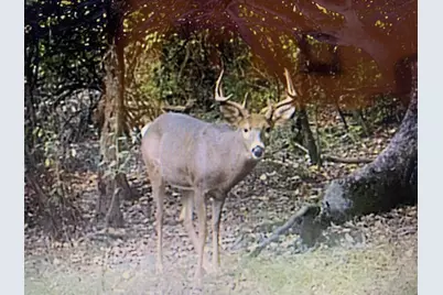 000 Vl N Cottonwood Avenue, Big Rapids, MI 49307 - Photo 9