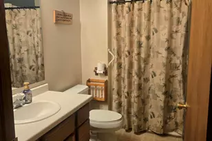 7887 Randolph St, Vanderbilt, MI 49795 - Photo 17