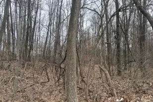 6497 E 128th St, Sand Lake, MI 49343 - Photo 1