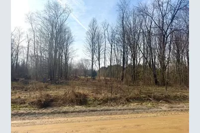 0 21st Street, Hopkins, MI 49328 - Photo 5