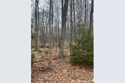 N Dennis Road, Ludington, MI 49431 - Photo 3