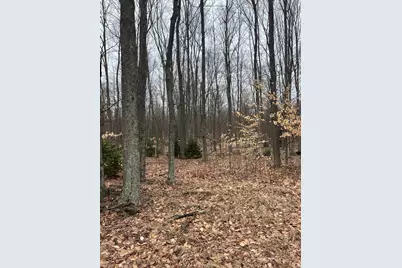 N Dennis Road, Ludington, MI 49431 - Photo 1