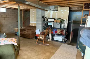 10131 Alpine Dr, Reed City, MI 49677 - Photo 35