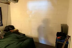 10131 Alpine Dr, Reed City, MI 49677 - Photo 39