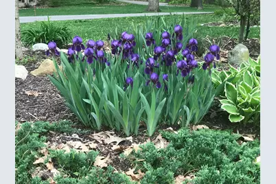 4080 Joanne Court, Ann Arbor, MI 48103 - Photo 87