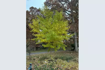 4080 Joanne Court, Ann Arbor, MI 48103 - Photo 97