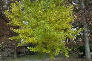 4080 Joanne Ct, Ann Arbor, MI 48103 - Photo 97