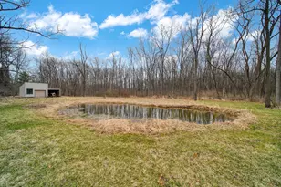 6830 Paddock Ln, Jackson, MI 49201 - Photo 51