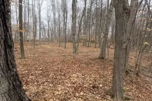 2119 W 116th St, Grant, MI 49327 - Photo 1