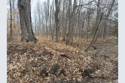 2119 W 116th Street, Grant, MI 49327 - Photo 3