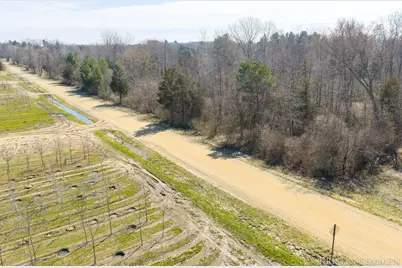 V/L 121st Avenue, Fennville, MI 49408 - Photo 5