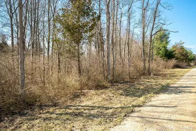 V/L 121st Avenue, Fennville, MI 49408 - Photo 9