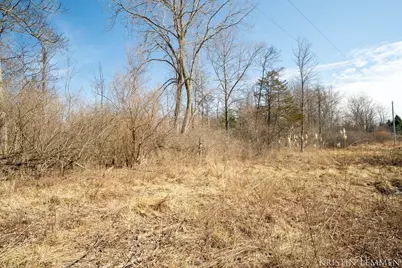 V/L 121st Avenue, Fennville, MI 49408 - Photo 23