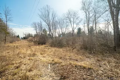 V/L 121st Avenue, Fennville, MI 49408 - Photo 21