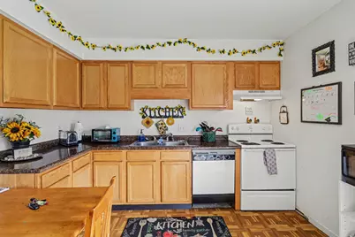 203 E Main Street, Homer, MI 49245 - Photo 7