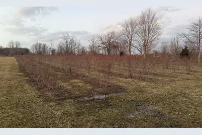 73122 36th Avenue, Covert, MI 49043 - Photo 1