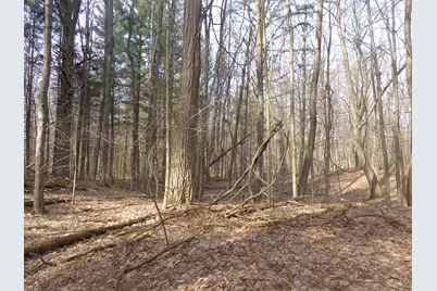 222 E 4th Street, Grand Junction, MI 49056 - Photo 11