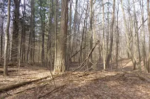 222 E 4th St, Grand Junction, MI 49056 - Photo 11