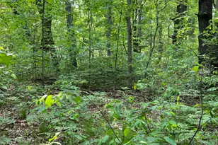 Vl Sherman Rd, Fountain, MI 49410 - Photo 7