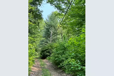 Vl Sherman Road, Fountain, MI 49410 - Photo 11