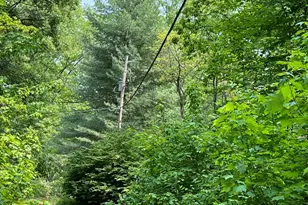 Vl Sherman Rd, Fountain, MI 49410 - Photo 11