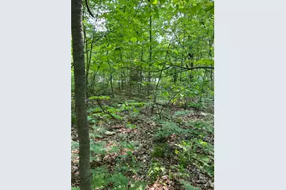 Vl Sherman Road, Fountain, MI 49410 - Photo 5