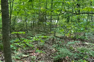 Vl Sherman Rd, Fountain, MI 49410 - Photo 5