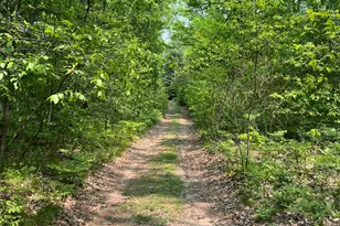 Vl Sherman Rd, Fountain, MI 49410 - Photo 3