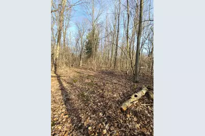 8503 Dixon Road, Rives Junction, MI 49277 - Photo 29