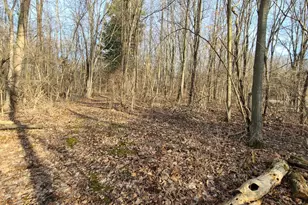 8503 Dixon Rd, Rives Junction, MI 49277 - Photo 29