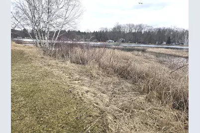 10631 Maple Drive, Riverdale, MI 48877 - Photo 3