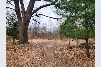 1217 58th Street, Pullman, MI 49450 - Photo 5