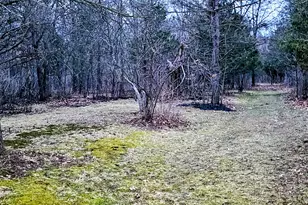 193 Ellis Rd, Battle Creek, MI 49037 - Photo 3