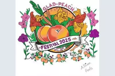 329 Elm Street, Watervliet, MI 49098 - Photo 27