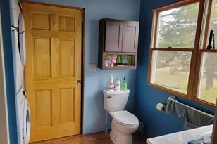 9770 Cheyenne Trail, Evart, MI 49631 - Photo 25