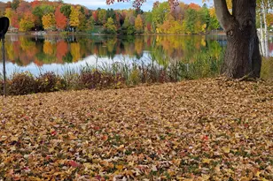 9770 Cheyenne Trail, Evart, MI 49631 - Photo 7