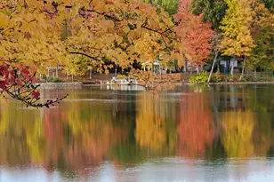 9770 Cheyenne Trail, Evart, MI 49631 - Photo 53