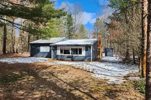 5247 N Access Rd, Irons, MI 49644 - Photo 1