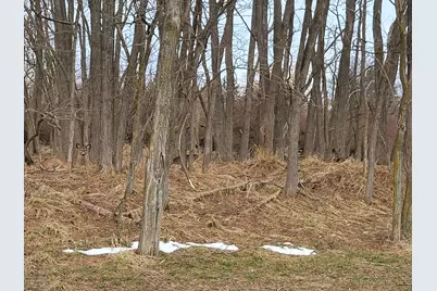 0 Twelfth Street, Manistee, MI 49660 - Photo 15