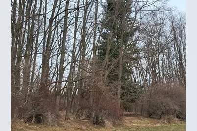 0 Twelfth Street, Manistee, MI 49660 - Photo 11