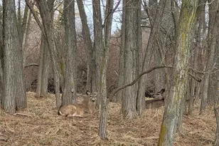 0 Twelfth St, Manistee, MI 49660 - Photo 1