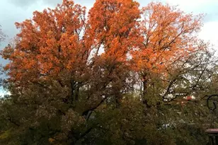 3379 Stormy Creek Dr SE, Grand Rapids, MI 49512 - Photo 29