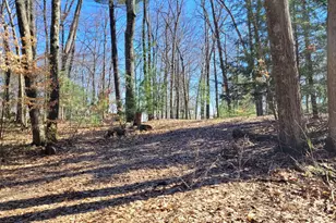 947 W Locust St, White Cloud, MI 49349 - Photo 1