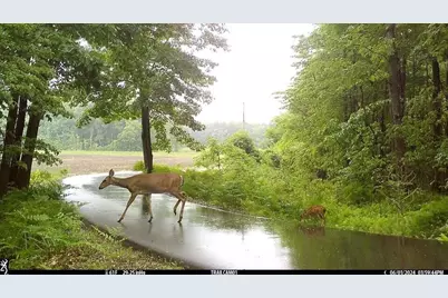 18800 County Road 681, Grand Junction, MI 49056 - Photo 49