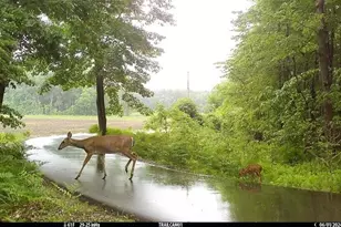 18800 Co Rd 681, Grand Junction, MI 49056 - Photo 49