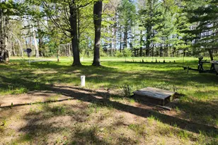 1041 Wolf Lake Dr, Baldwin, MI 49304 - Photo 27