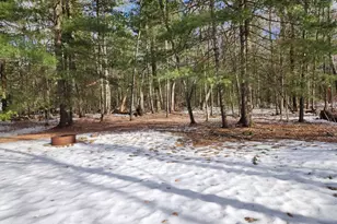 1041 Wolf Lake Dr, Baldwin, MI 49304 - Photo 25