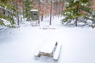 4813 W 48th St, Baldwin, MI 49304 - Photo 19