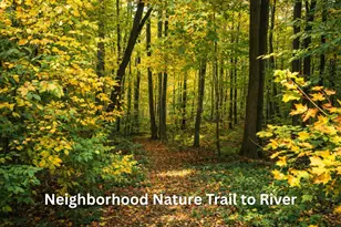 10345 Red Oak Ridge, Howard City, MI 49329 - Photo 81